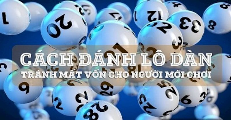 Tìm hiểu về dàn đề 24 số